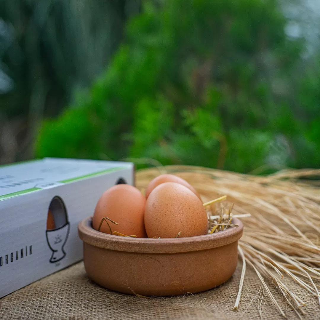 Organik Köy Yumurtası 10 Adet