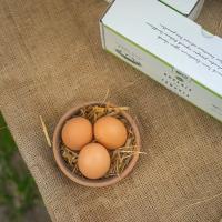 Organik Köy Yumurtası 10 Adet